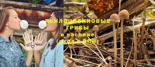mdpv Лагань