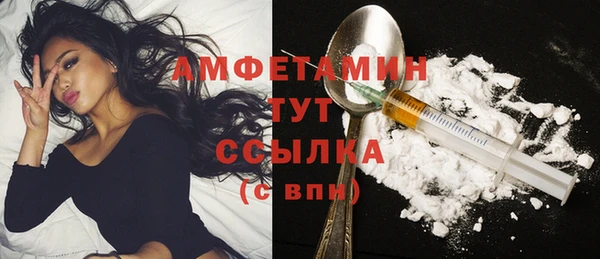амф Ладушкин