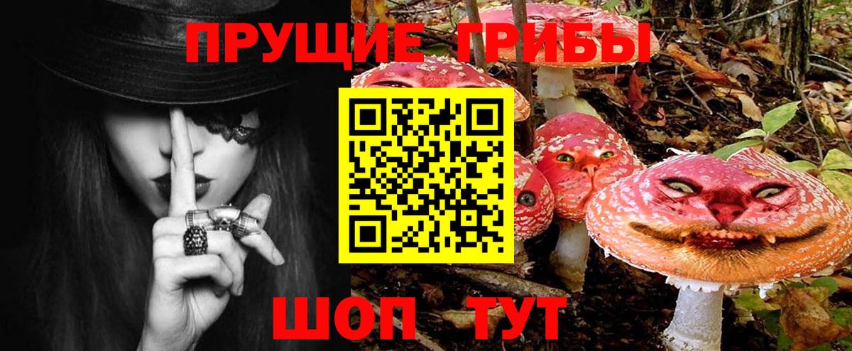 Волгодонск  Галлюциногенные грибы мицелий  Псилоцибиновые грибы MAGIC MUSHROOMS  Вход с VPN 