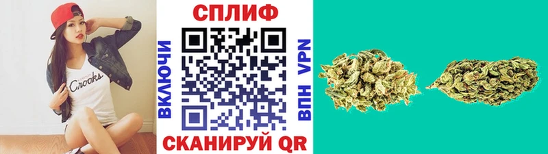 Бошки марихуана семена  ссылка на мегу ТОР  Волгодонск  магазин продажи наркотиков 